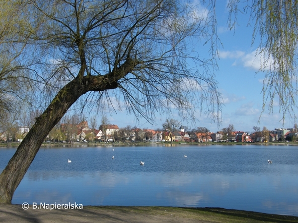 Miedzychód wiosna